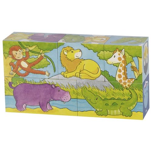 Safari and Artic , cube puzzle